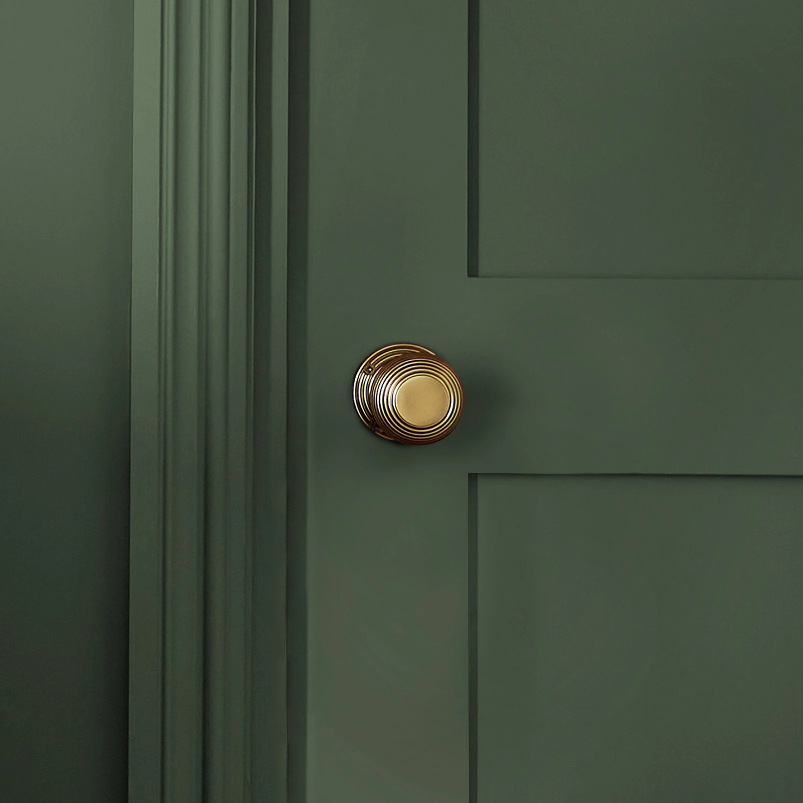 William Morris At Home Olive Character Paint - 124317_DETAIL_OLIVE CHARACTER_01.jpg