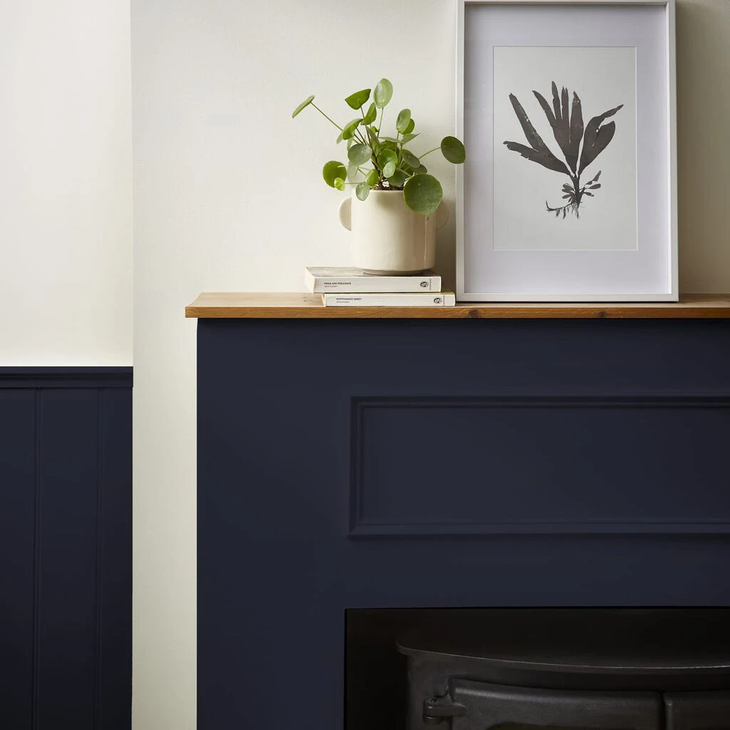 Joules Joule Navy Paint