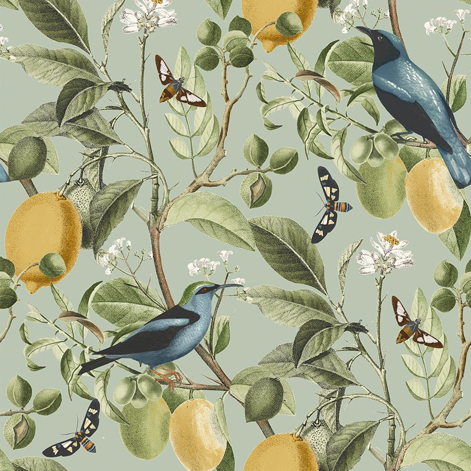 Next Fruit Tree Summer Sage Wallpaper - 128834_TILE_FRUIT TREE SUMMER SAGE_01.jpg