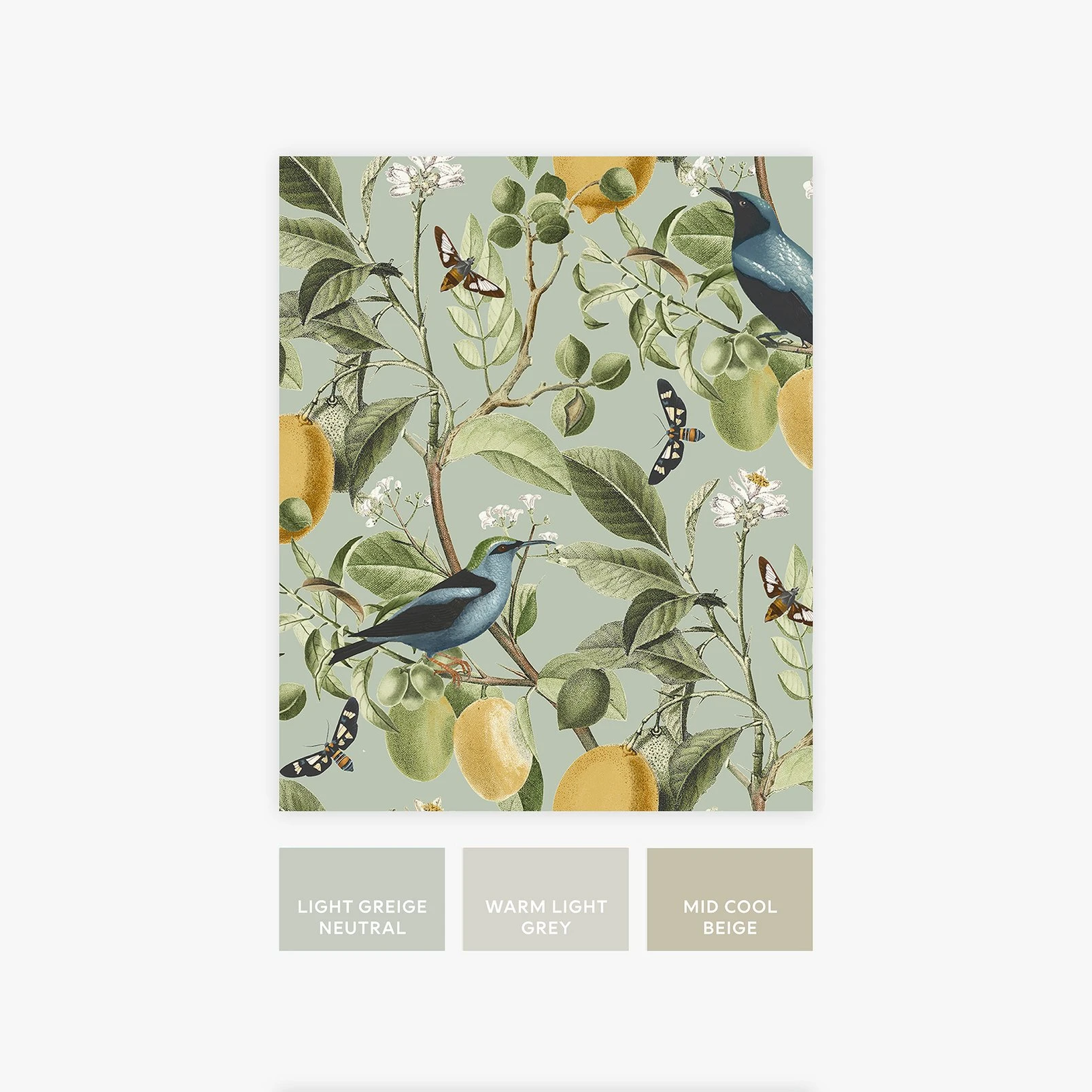 Next Fruit Tree Summer Sage Wallpaper - 128834_FLATLAY_FRUIT TREE SUMMER SAGE_01.jpg