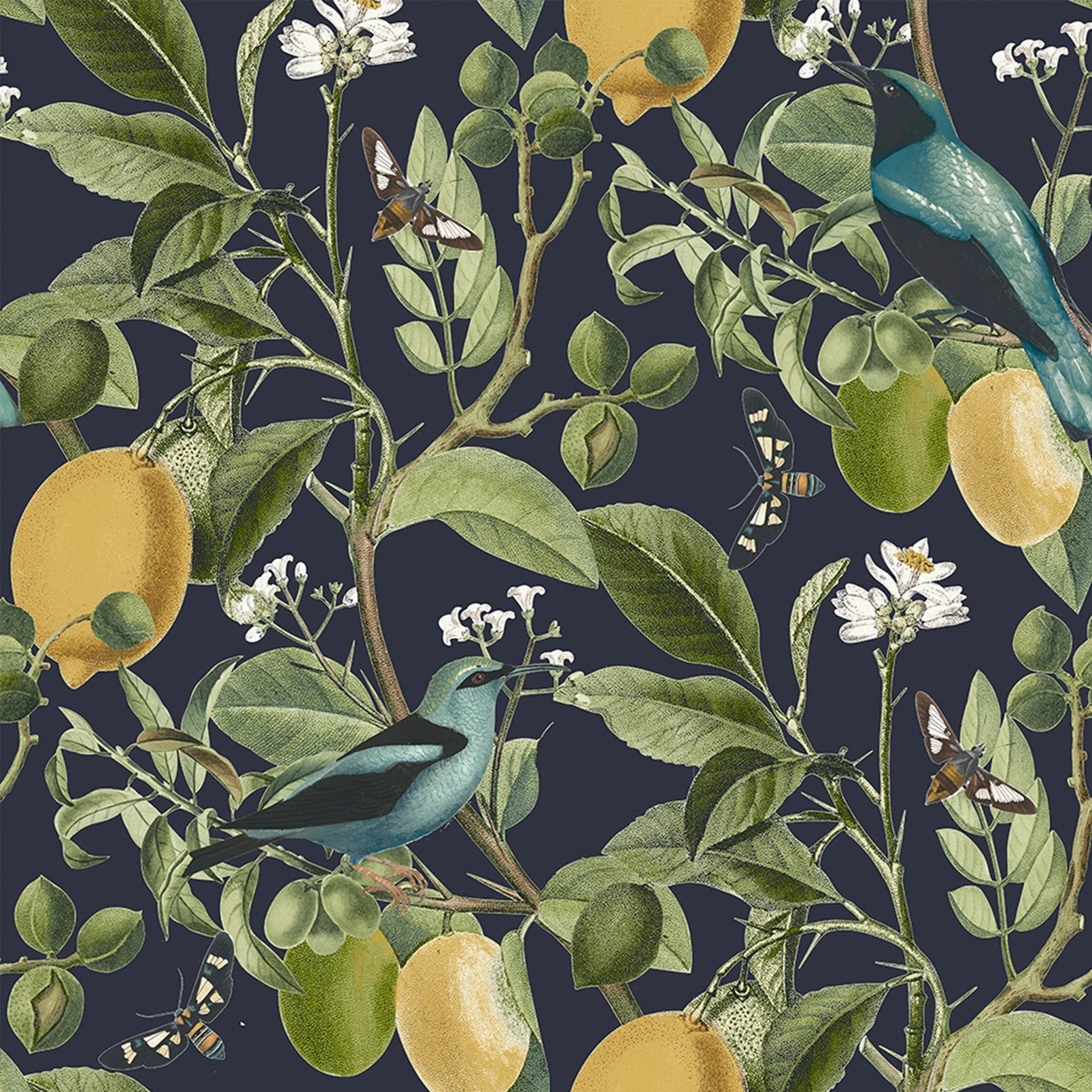 Next Fruit Tree Midnight Wallpaper - 128836_TILE_FRUIT TREE MIDNIGHT_01.jpg