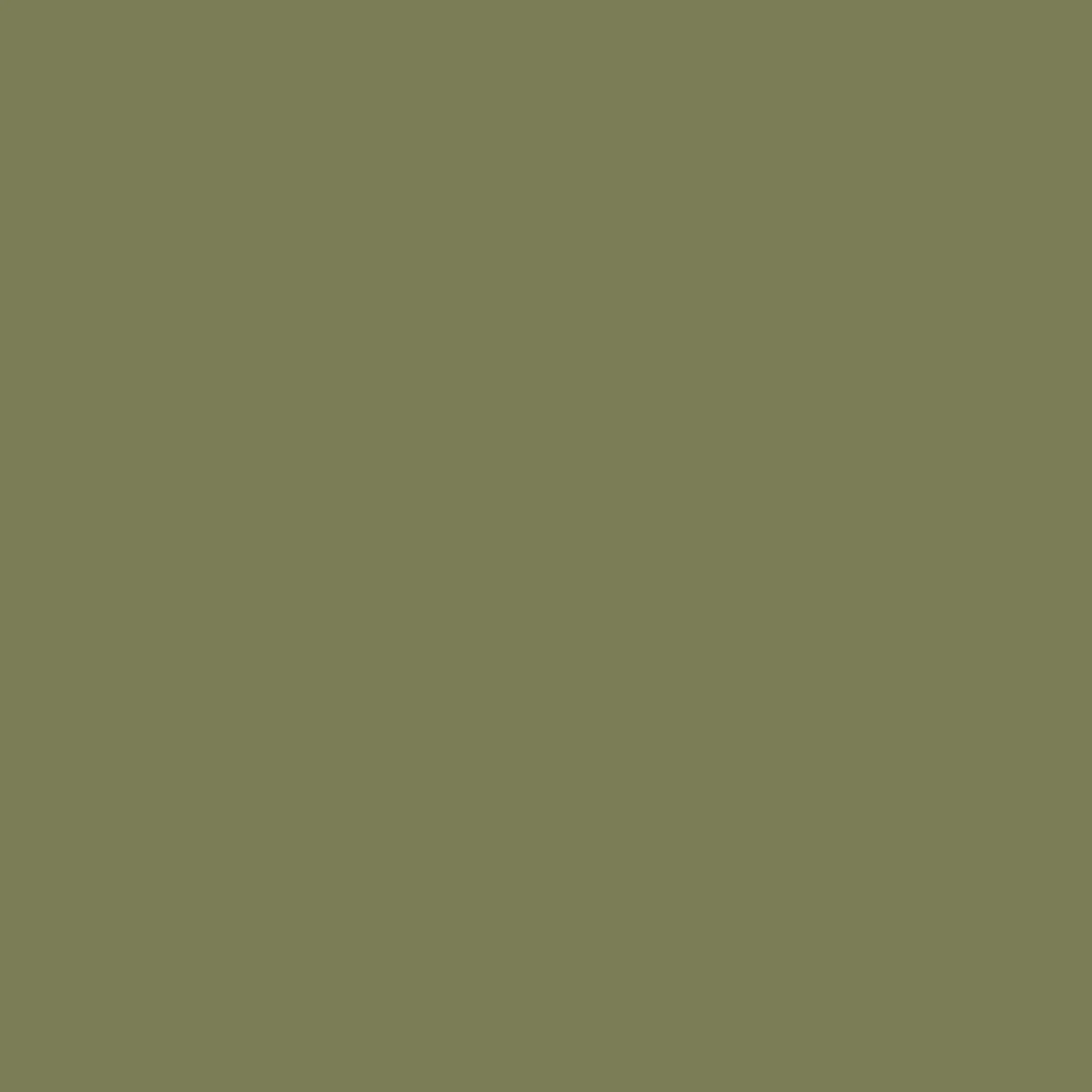 Abigail Ahern Neptune Grass Paint - 131487_TILE_NEPTUNE GRASS_01.jpg