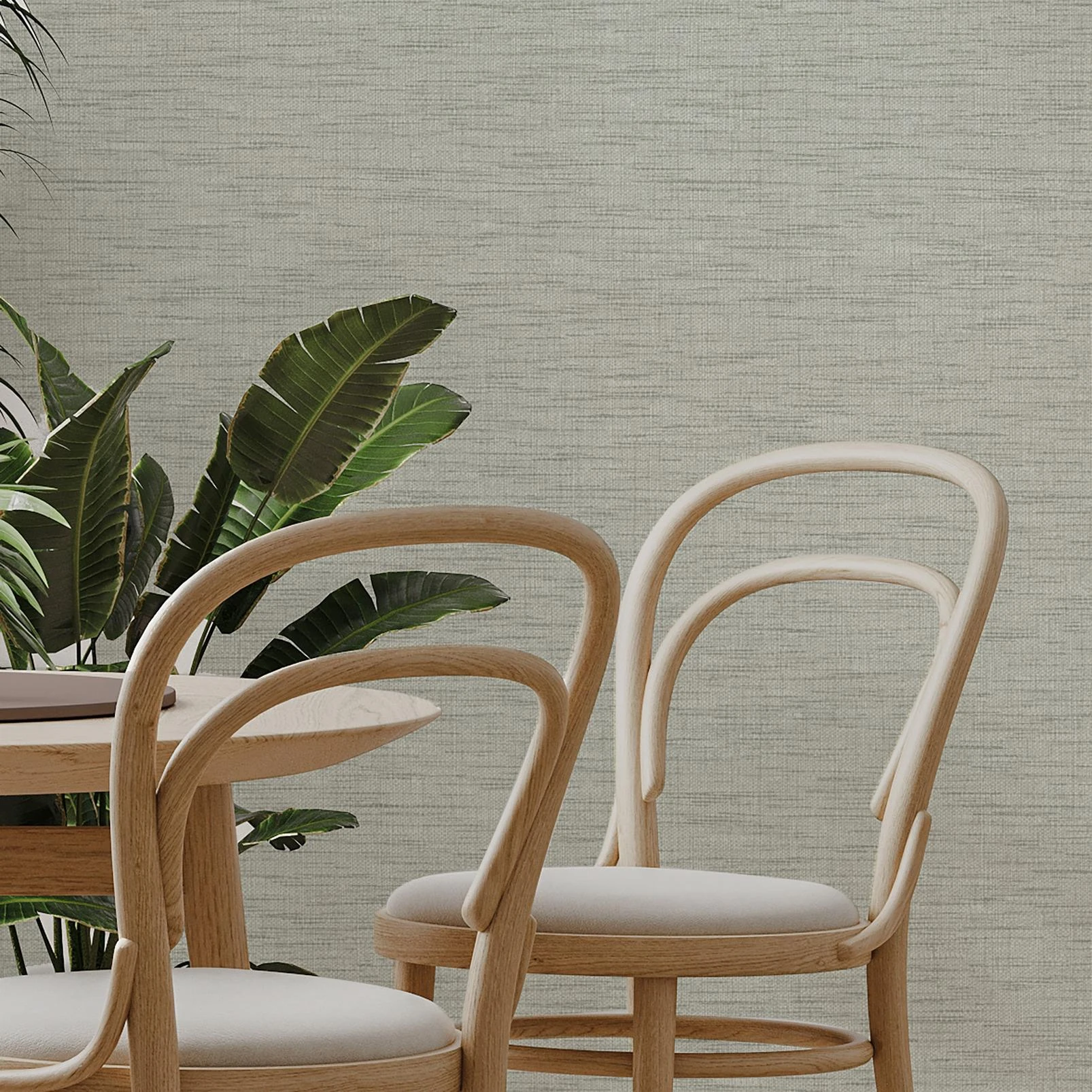 Nova Texture Sage Wallpaper - 145484_ROOMSET_NOVA_TEXTURE_SAGE_02.jpg