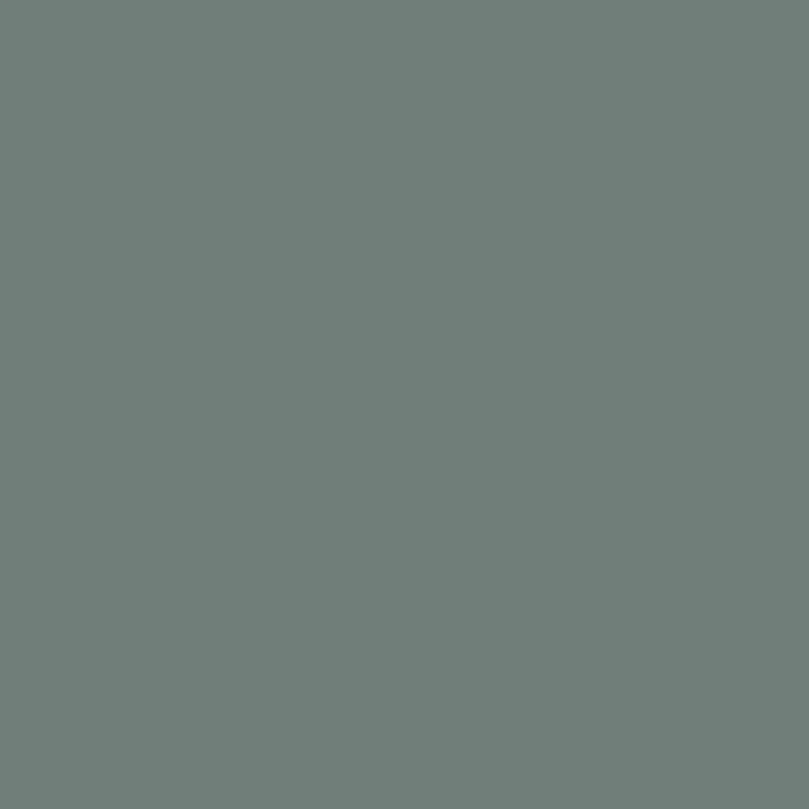 Laura Ashley Fern Paint - 113692_TILE_01.jpg