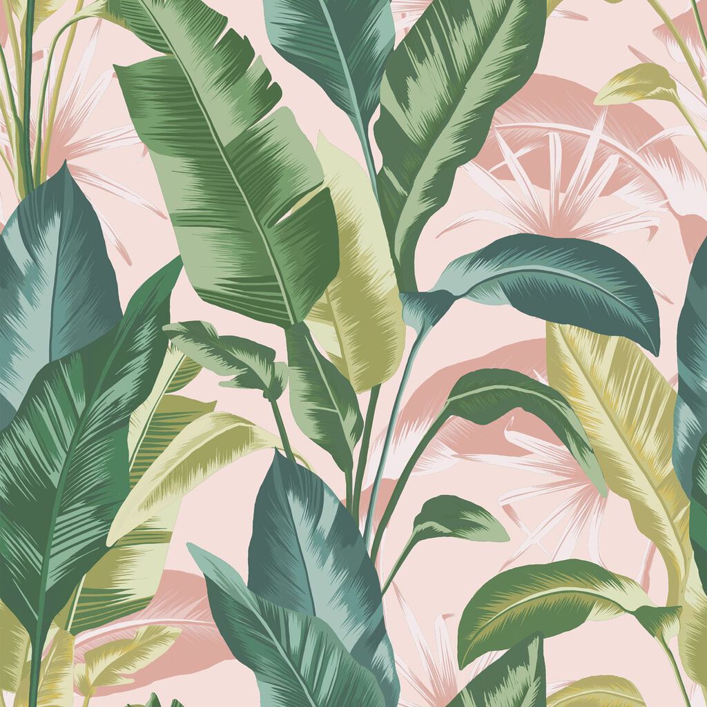 leaf it out sunrise wallpaper